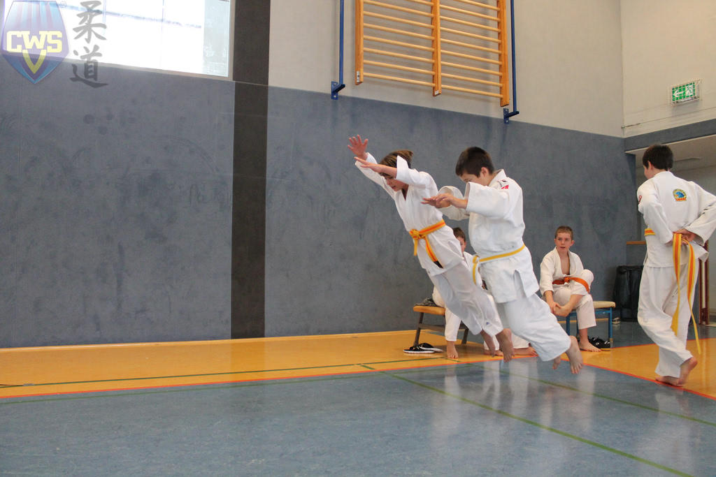 images/Bezirksoffene Judo-Safari 2018 der SG Weixdorf-134.jpg